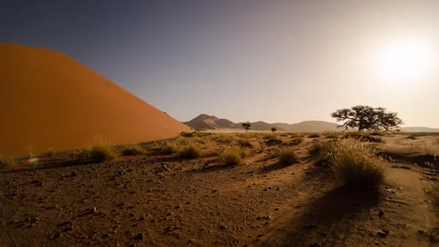 Red Sand Dune and Acacia at Sossusvlei, Namibia Stock Footage 341467698