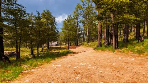 On a red sand path that runs through a virtual forest 3d render Stock Illustration