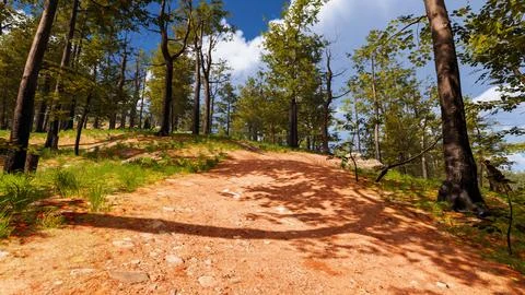 On a red sand path that runs through a virtual forest 3d render Stock Illustration