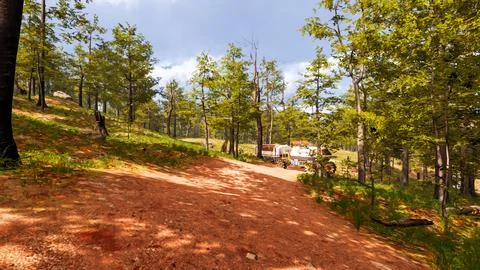 On a red sand path that runs through a virtual forest 3d render Stock Illustration