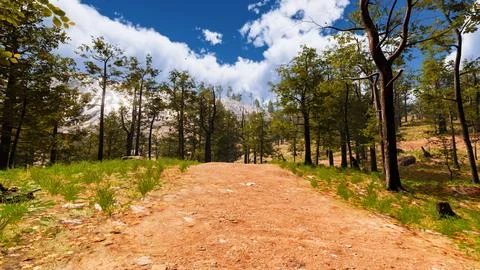 On a red sand path that runs through a virtual forest 3d render Stock Illustration