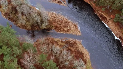 Red sandstone cliffs in the banks of river Salaca, Latvia 스톡 동영상 146207937