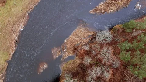 Red sandstone cliffs in the banks of river Salaca, Latvia 스톡 동영상 146208093