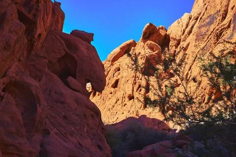 Red Sandstone Cliffs Blue Sky and Desert Shrubs in Sunlit Nevada Canyon Foto stock