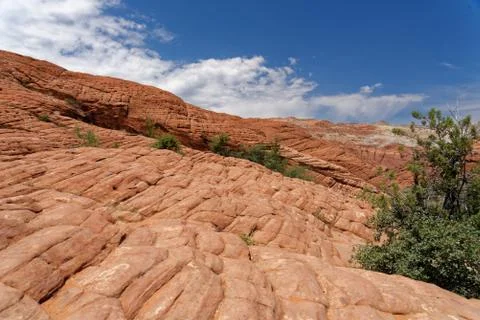 Red sandstone cliffs Stock Photos