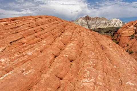 Red sandstone cliffs Stock Photos