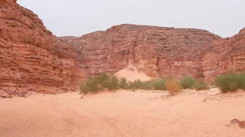 Red sandstone desert canyon with sand dunes and shrubs Stock Footage 332015203