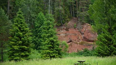 Red Sandstone Forest Outcrop Stock Footage 340877849