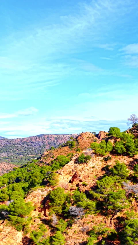 Red sandstone ridge with pine trees and distant hills, Spain Vertical video. Stock-Footage 346841877