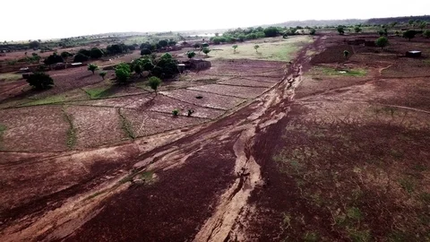 Red savannah landscape with two donkeys Stock Footage 80533499