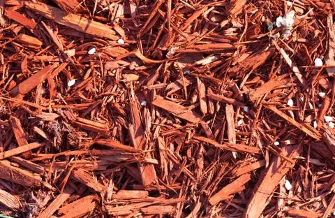 Red sawdust pattern Stock Photos