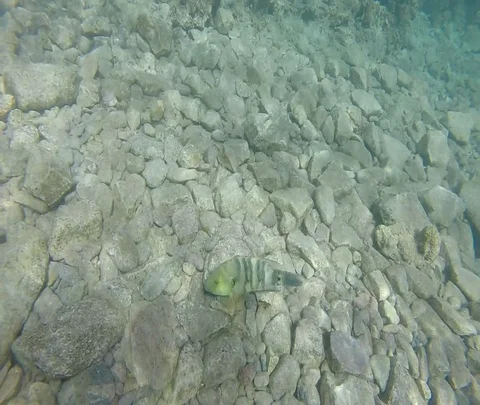 Red Sea 01 Stock Footage 111234919