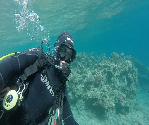 Red Sea 02 Stock Footage 111235386