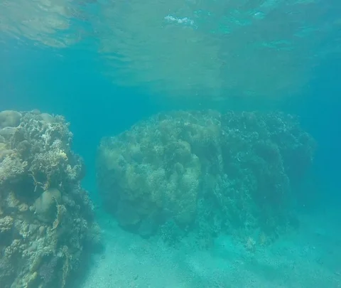 Red sea 05 Stock Footage 111115446