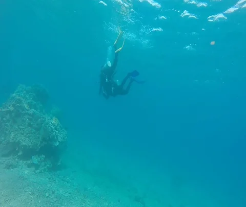 Red Sea 07 Stock Footage 111235997