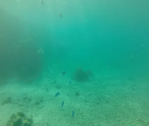 Red Sea 09 Stock Footage 111236334