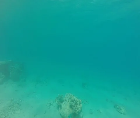 Red Sea 10 Stock Footage 111235807
