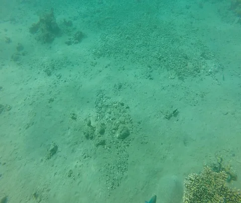 Red Sea 11 Stock Footage 111236563