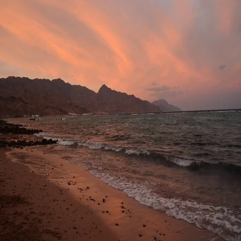 Red Sea Beach Stock Footage 69519038