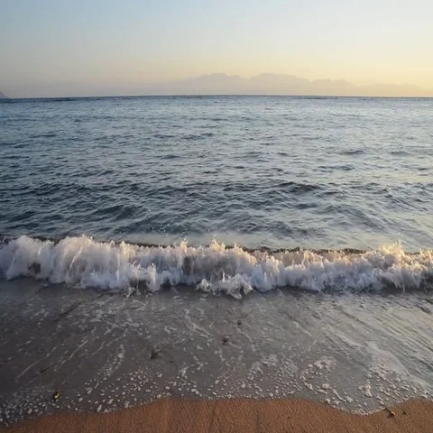 Red Sea Beach Stock Footage 69519115