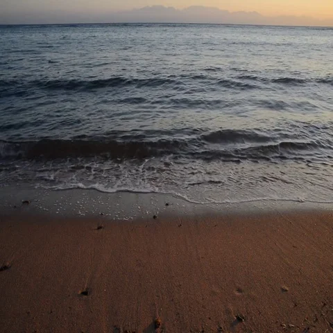 Red Sea Beach Stock Footage 69519143