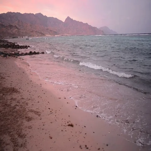 Red Sea Beach Stock Footage 69519207