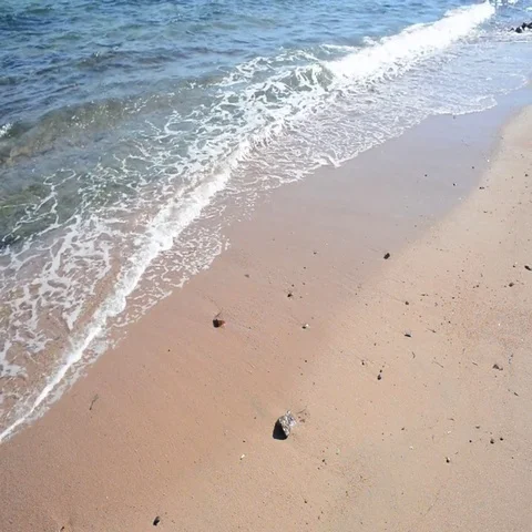 Red Sea Beach Stock Footage 69519393