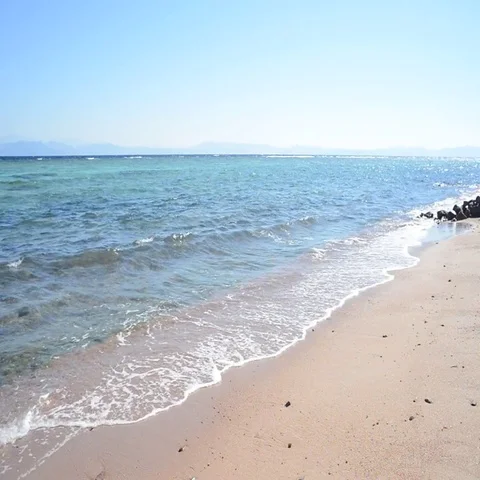 Red Sea Beach Stock Footage 69519463