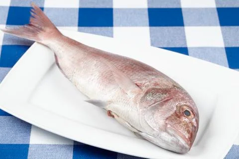 Red sea bream Stock Photos