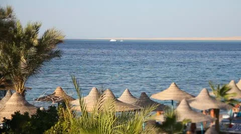 Red sea coast Stock Footage 10978715