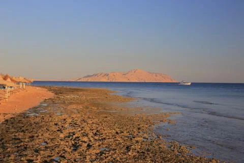 Red sea coast Stock Photos