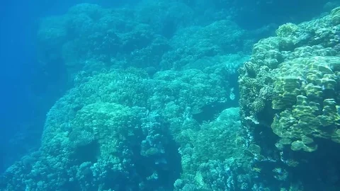 Red Sea Stock Footage 77970029