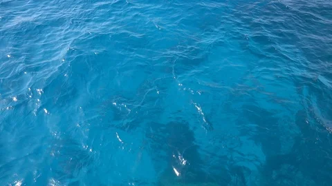 Red sea Stock Footage 111823302