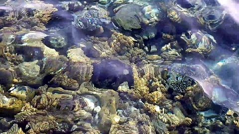 Red sea Stock Footage 129328078