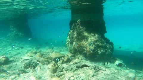 RED SEA Stock Footage 300794625