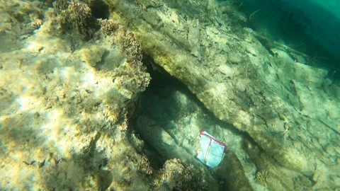 RED SEA Stock Footage 300795051