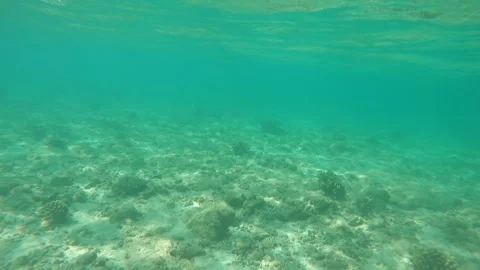 RED SEA Stock Footage 300795177