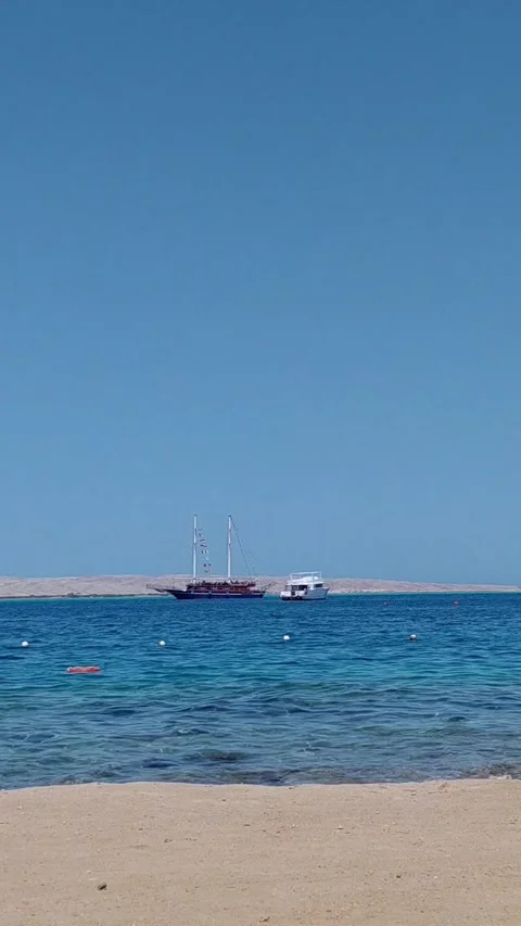 Red Sea Stock Footage 336214253
