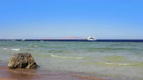 Red sea pan Видео 7732685