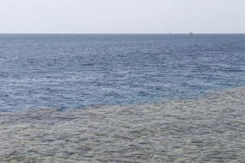 The Red Sea Stock Photos