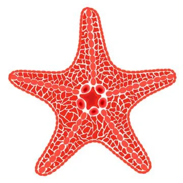 Red sea star fish. Vector Illustration Illustrazione stock