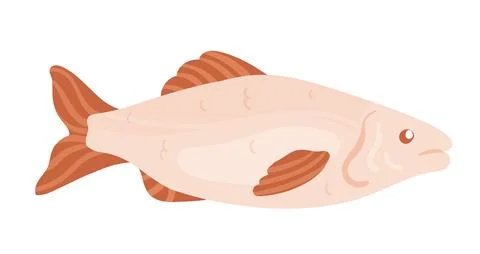 Red seafood fish Stockillustratie