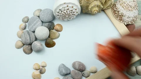 Red seashell and blank space Stock Footage 87202814