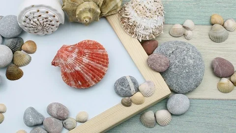 Red seashell on the center Stock Footage 87202804