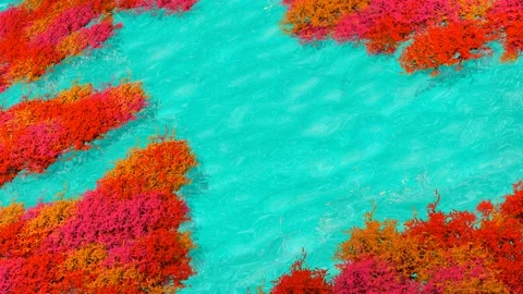 Red seaweed on the azure blue surface of the sea with copy space 3d animation 4K Stock Footage 194421040