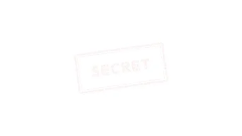 Red secret rubber stamp animation on white background 4K 스톡 동영상 339029557