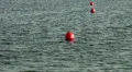 Red security buoys for swimming area border HD Footage