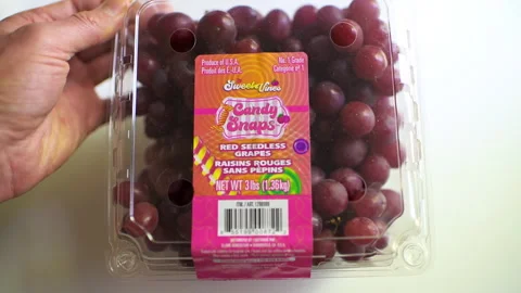 Red seedless grape, candy snaps grapes fresh fruit in plastic container Stock Footage 321982443