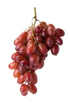 Red seedless table grapes Stock Photos