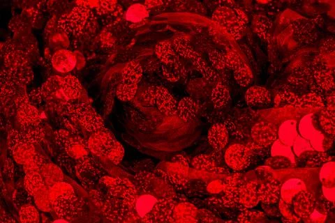 Red sequins pattern. Sparkling sequins background. Red sequin fabric for back Foto stock